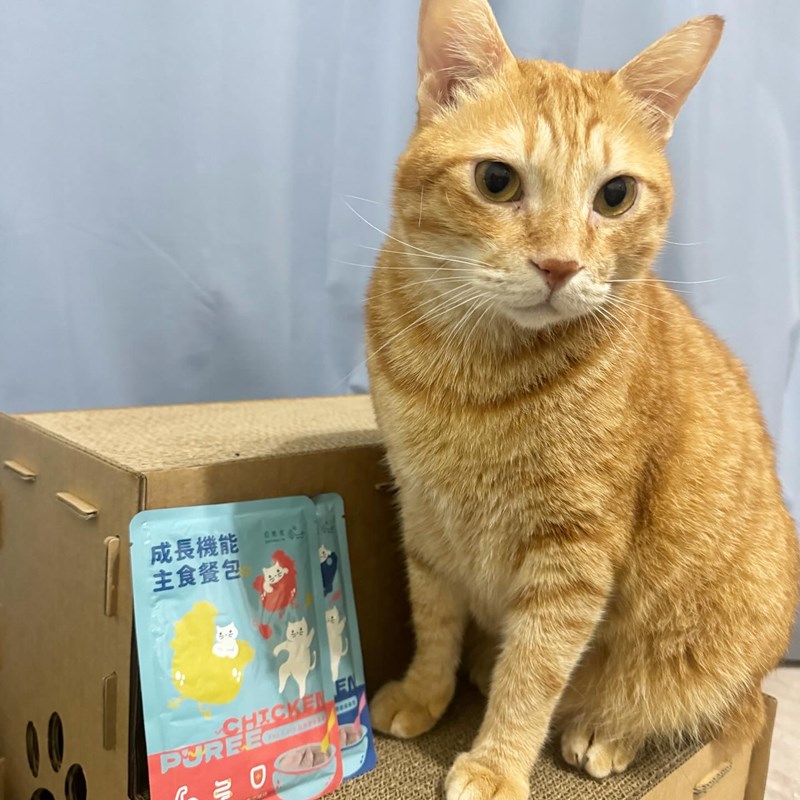 試用